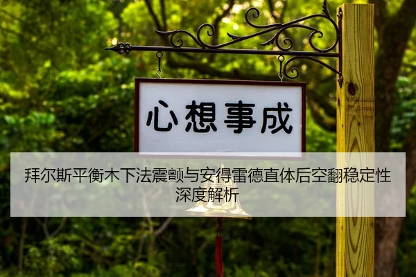 bai-er-si-ping-heng-mu-xia-fa-zhen-chan-yu-an-de-lei-de-zhi-ti-hou-kong-fan-wen-ding-xing-shen-du-jie-xi-2-858.jpg