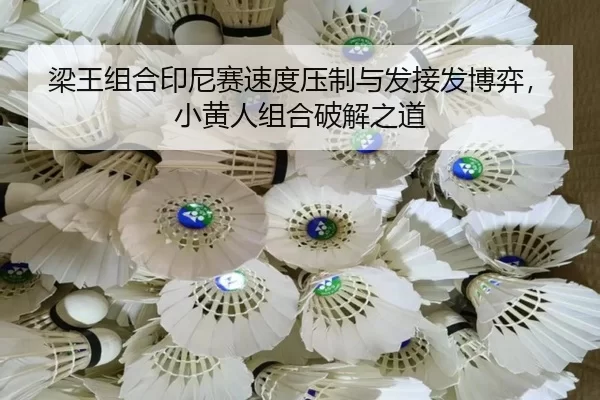 liang-wang-zu-he-yin-ni-sai-su-du-ya-zhi-yu-fa-jie-fa-bo-yi-xiao-huang-ren-zu-he-po-jie-zhi-dao-2-277.jpg