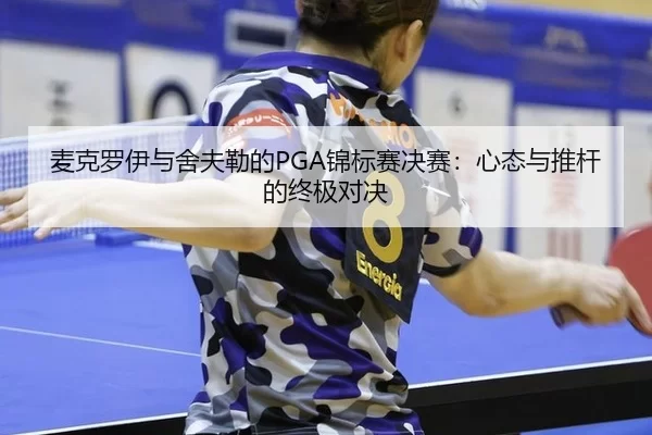 mai-ke-luo-yi-yu-she-fu-lei-de-jin-biao-sai-jue-sai-xin-tai-yu-tui-gan-de-zhong-ji-dui-jue-2-508.jpg